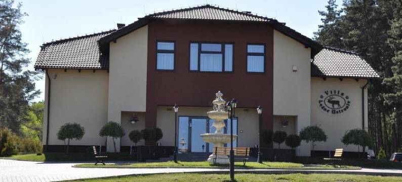 莱兹乌斯特尼别墅酒店(Villa Leśne Ustronie)图片