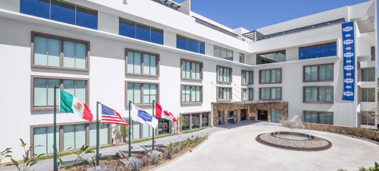 洛斯卡波斯希尔顿欢朋套房酒店(Hampton Inn & Suites by Hilton Los Cabos)图片