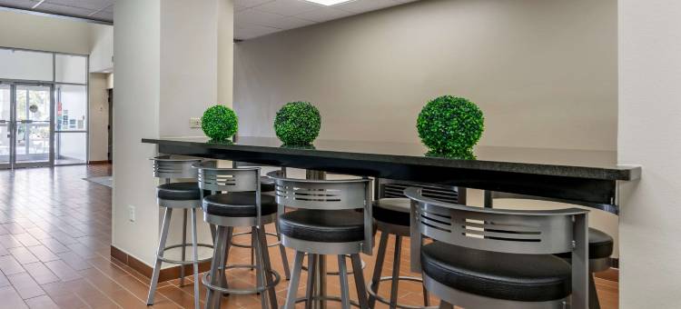 圣彼得堡克利尔沃特舒眠酒店(Sleep Inn Clearwater-St Petersburg)图片