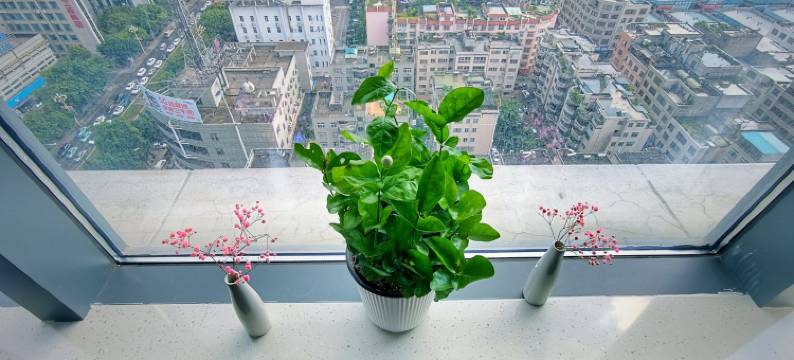 青橙民宿(桔群路分店)图片