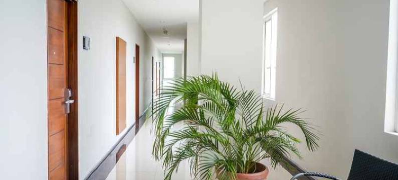 龙目岛大酒店(Lombok Plaza Hotel and Convention)图片