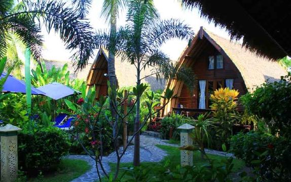 Turtle Beach Hotel Hotel Overview