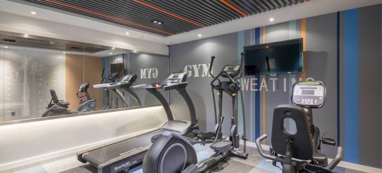 上海嘉定城中智选假日酒店图片