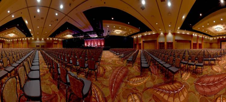 塞涅卡尼亚加拉度假酒店及(Seneca Niagara Resort & Casino)图片