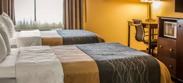 凯艺套房酒店(Quality Inn & Suites)图片