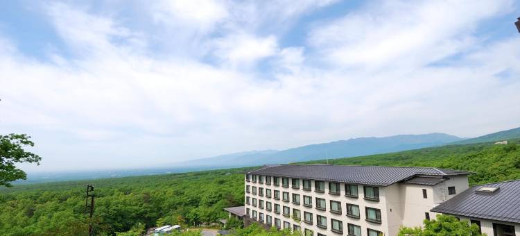 那须拉福雷酒店(Hotel Laforet Nasu)图片