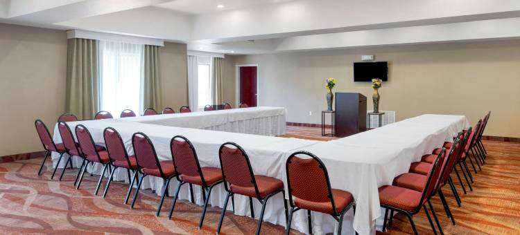 舒适套房酒店(Comfort Suites)图片