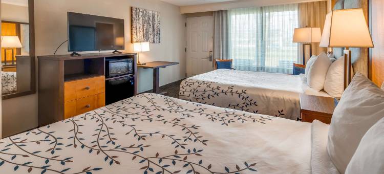 Americinn by Wyndham Birch Run/Frankenmuth(Americinn by Wyndham Birch Run/Frankenmuth)图片
