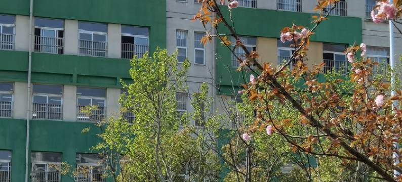 白玉兰合肥南站罍街宁国路民宿(望江东路分店)图片