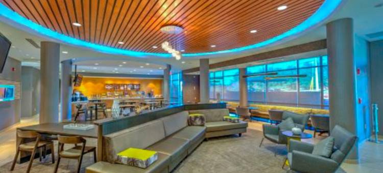 SpringHill Suites Macon图片