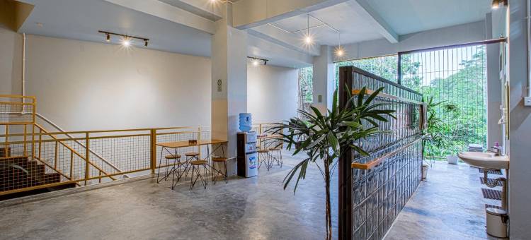 柯洛柯洛酒店(Kolo Kolo)图片