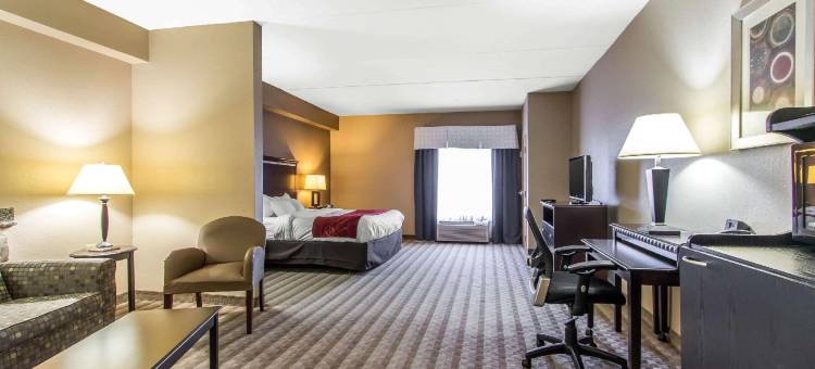 舒适套房酒店(Comfort Suites Smyrna)图片