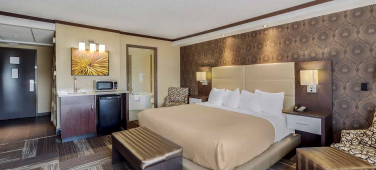 埃德蒙顿机场贝斯特韦斯特优质酒店(Best Western Plus Edmonton Airport Hotel)图片