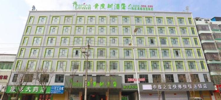 青皮树酒店(周口鹿邑真源大道店)图片