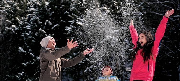 信浓大町黑部假日酒店度假村(Holiday Inn Resort Shinano-Omachi Kuroyon)图片