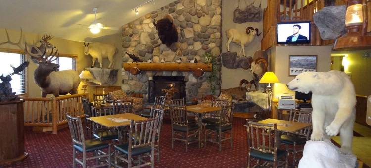 科迪美吟温德姆酒店(AmericInn by Wyndham Cody)图片