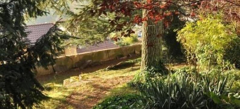 宅第花园住宿加早餐旅馆(Les Jardins de l'Hacienda)图片