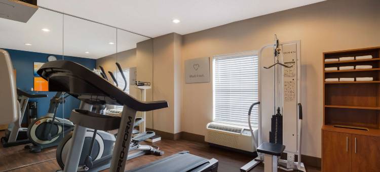 大学附近舒适套房酒店(Comfort Suites Near University)图片