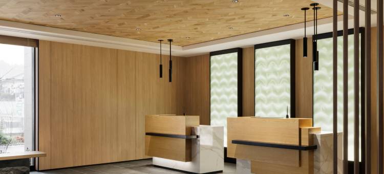 冈山津山万枫酒店(Fairfield by Marriott Okayama Tsuyama)图片