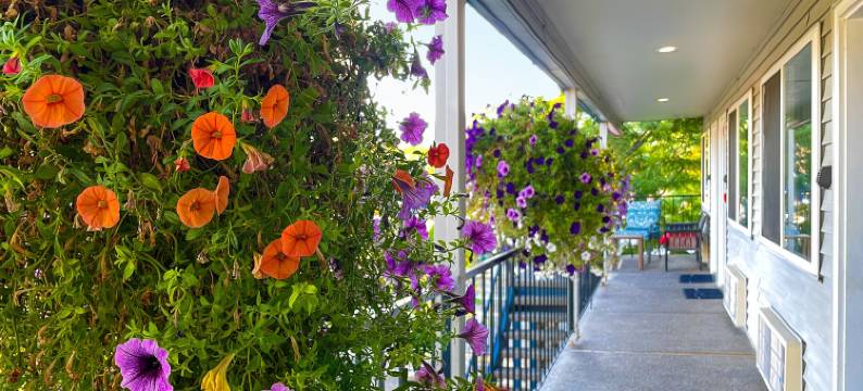 科达伦城市旅馆度假村(Resort City Inn Coeur D Alene)图片