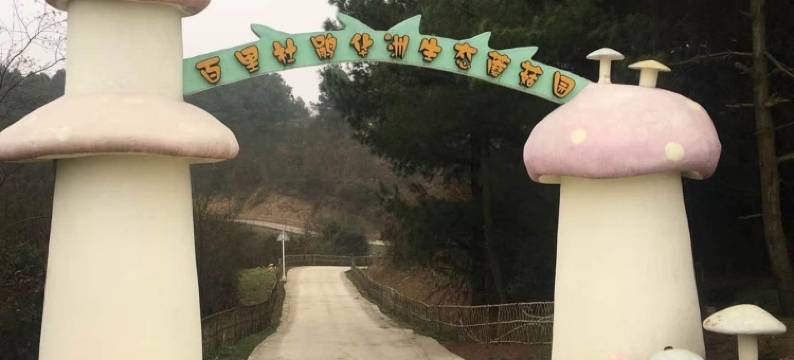 百里杜鹃华洲农庄特色民宿图片