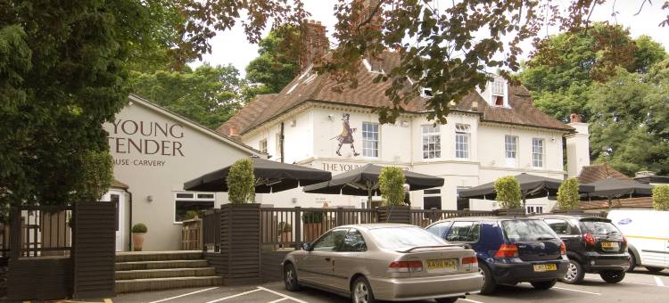 金斯兰利普瑞米尔酒店(Kings Langley)图片