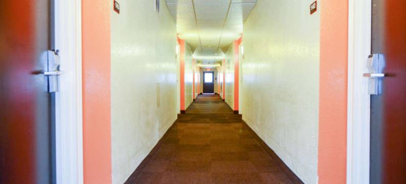 奥尔巴尼6号汽车旅馆(Motel 6 Albany, NY)图片