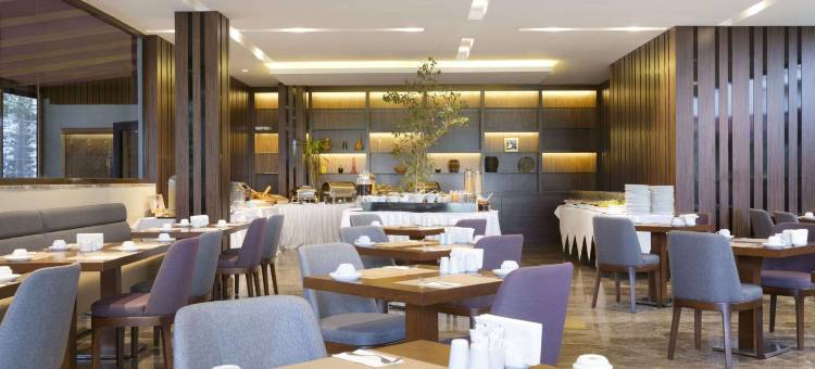 伊斯坦布尔机场华美达酒店(Ramada by Wyndham Istanbul Florya)图片