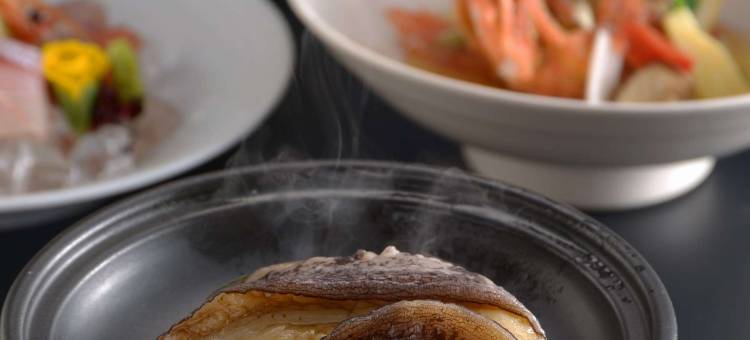 东京海湾广场酒店(Tokyo Bayplaza Hotel)图片