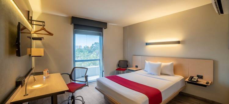 瓜达拉哈拉帕洛玛万豪城市快捷普拉斯酒店(City Express Plus by Marriott Guadalajara Palomar)图片