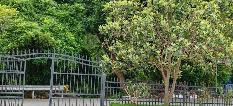 宜宾六月间·庭轩赏景·逸趣温馨美宿(李庄古镇景区店)图片