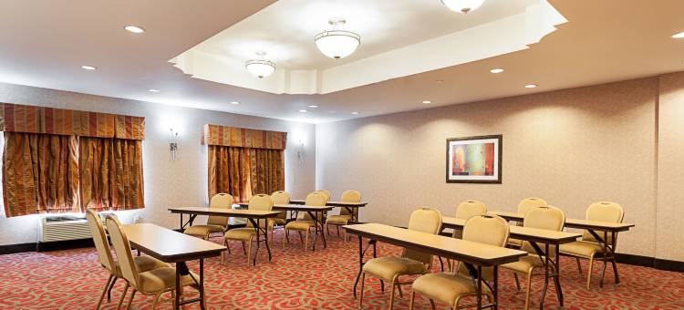 萨尔弗 - 查尔斯湖舒适套房酒店(Comfort Suites Sulphur-Lake Charles)图片