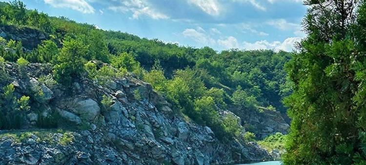 南洋的天空公寓(洛阳路分店)图片