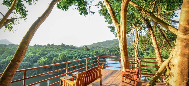 小桂河公园度假村(Kwainoy Riverpark)图片