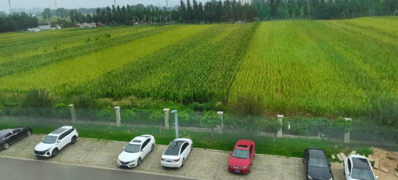 六六公寓(迎宾西街分店)图片