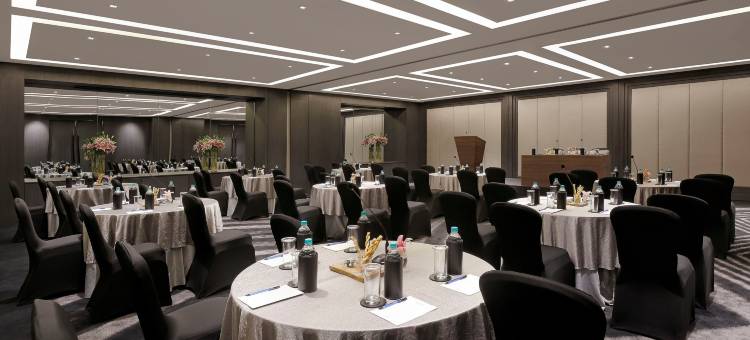 金奈沙米耶尔路诺富特酒店(Novotel Chennai Chamiers Road)图片