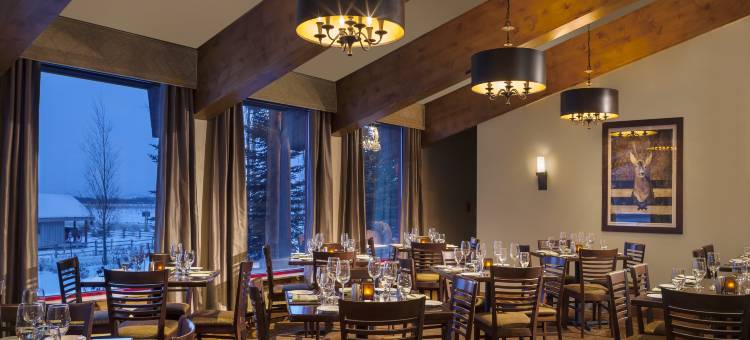 蛇河别墅温泉罗克度假酒店(Snake River Lodge & Spa)图片