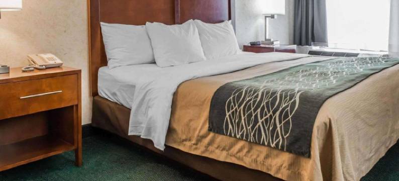 凯艺酒店(Quality Inn)图片