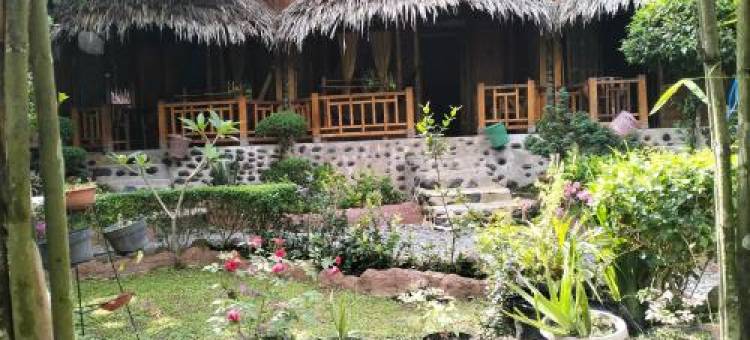 武吉拉旺朱尼亚旅馆(Junia Guesthouse Bukit Lawang)图片