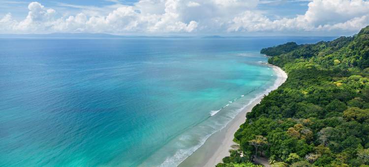 安达曼塔吉艾索地卡度假村及水疗中心(Taj Exotica Resort & Spa, Andamans)图片