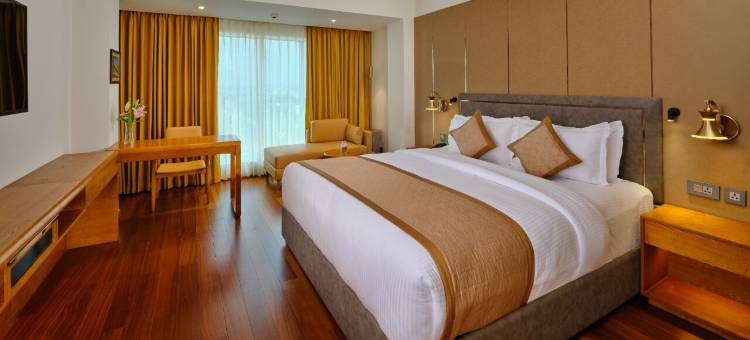 乌代布尔骄傲酒店(Pride Hotel Udaipur)图片