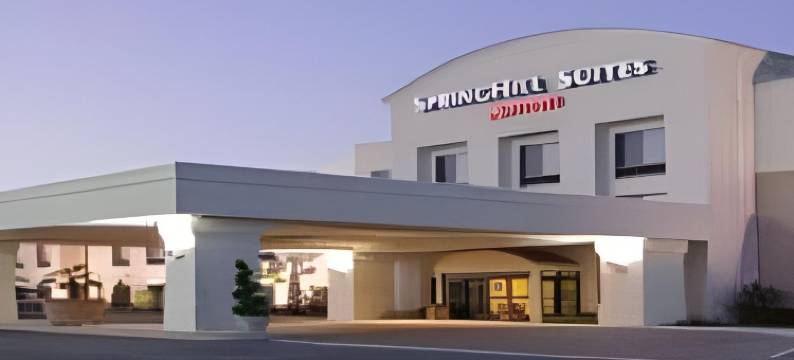 阿什本杜勒斯北SpringHill套房酒店(SpringHill Suites Ashburn Dulles North)图片