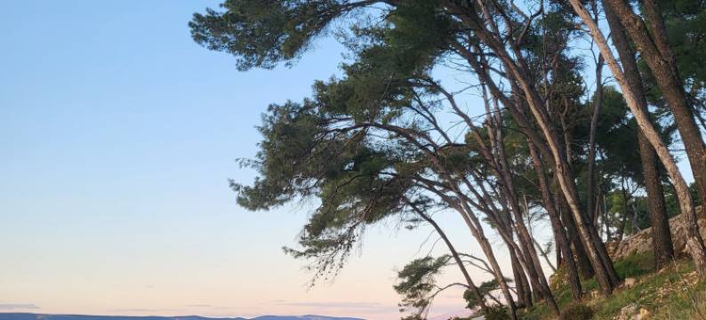 Plava Laguna /Bed and Breakfast图片