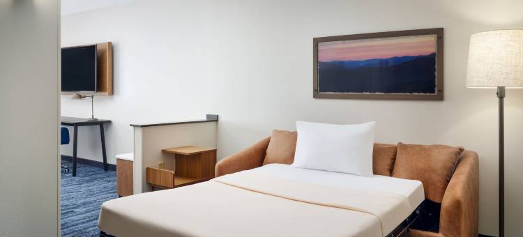 奥本欧佩莱卡万枫酒店酒店(Fairfield Inn & Suites Auburn Opelika)图片