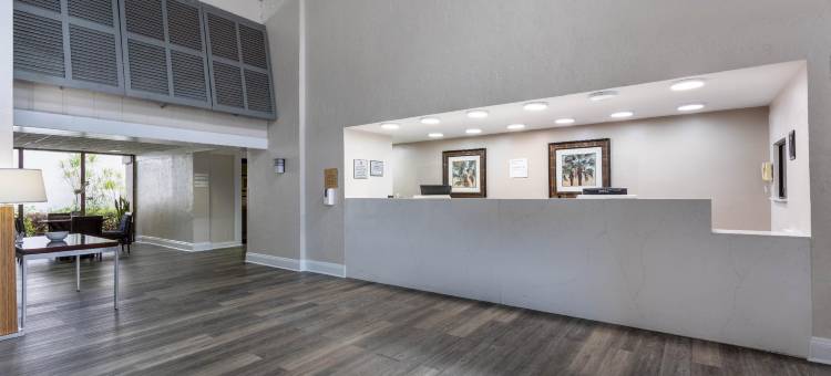 88帕尔姆斯霍特尔 & 伊文特森特尔(88 Palms Hotel & Event Center)图片