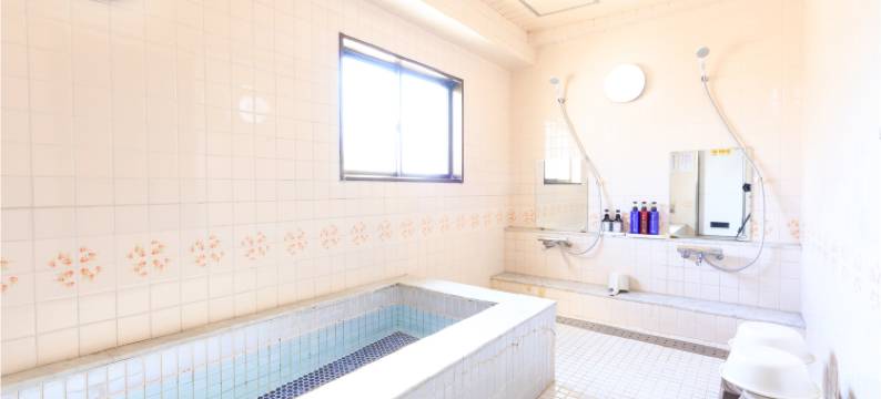 洛杉高知酒店(Hotel Los Inn Kochi)图片