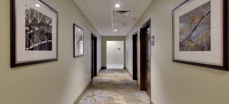 麦迪逊-菲奇堡Staybridge Suites(Staybridge Suites Madison - Fitchburg)图片