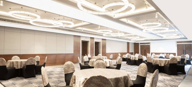 丽笙酒店弗林达文(Radisson Hotel Vrindavan)图片