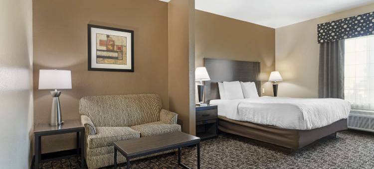 贝斯特韦斯特迦太基套房酒店(Best Western Carthage Inn  Suites)图片