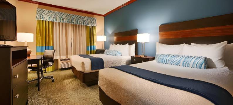 舒适酒店及套房(Comfort Inn & Suites)图片